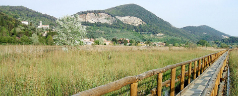 Foto zona verde Parco di San Rossore - Hotel Sirio 3 stelle a Lido di Camaiore in Versilia, Toscana